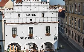 Hotel Bily Konicek